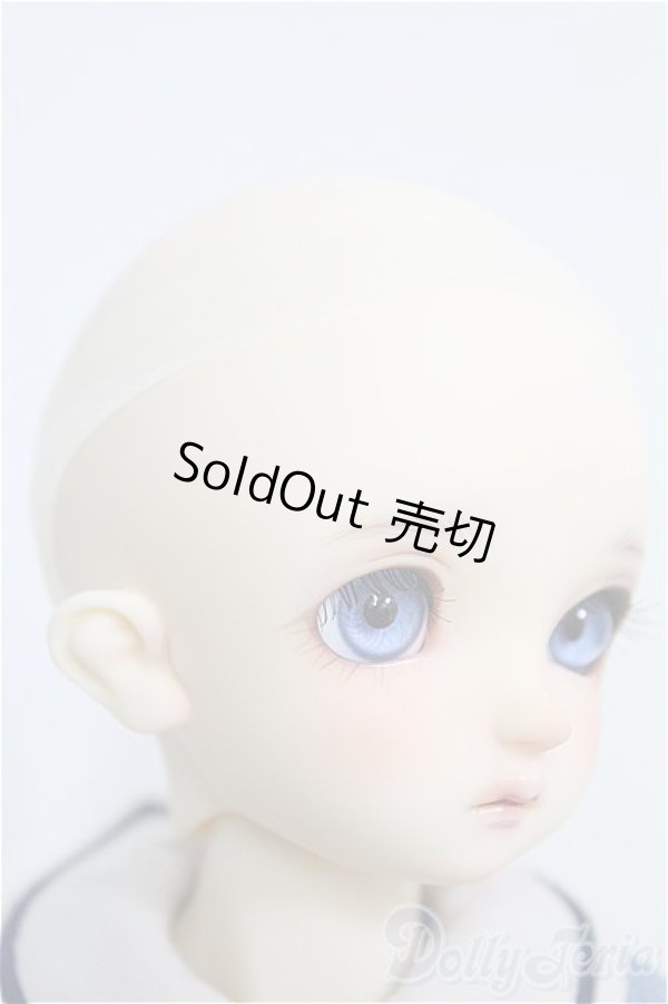 画像3: SDM/コーディネートモデル:F-60 I-24-12-29-1002-TO-ZI (3)