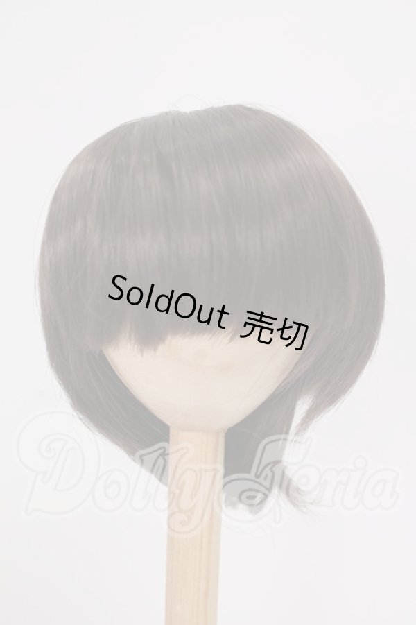 画像1: 8-9inch/ウィッグ I-26-04-19-328-TO-ZI (1)