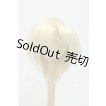 画像: 9-10inch/ウィッグ I-26-08-27-270-YB-ZI