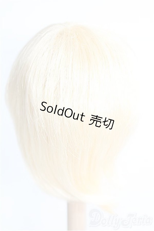 画像2: 9inch/ウィッグ I-25-01-19-3050-YB-ZI (2)