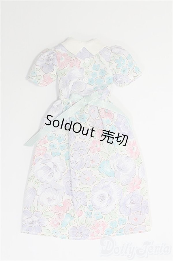 画像1: ジェニー/OF:衣装 I-25-01-19-3164-YB-ZI (1)