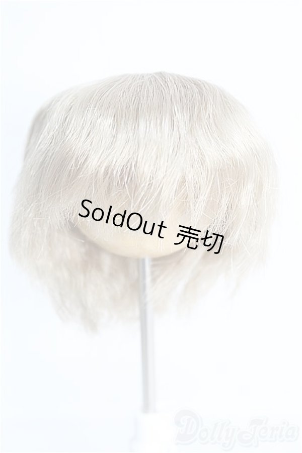 画像1: 6-7inch/ウィッグ I-25-01-19-3032-YB-ZI (1)