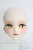 画像1: DD/DDH-07カスタムヘッド I-25-01-19-1029-TO-ZI (1)
