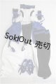 画像: 【SALE】DD/OF 初音ミク TYPE2020セット I-25-01-26-1042-TO-ZI