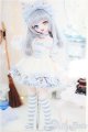 画像: 【SALE】MDD/猫魔導士セット(Ronshuka/ロンシュカ様製) I-25-01-26-1040-TO-ZI
