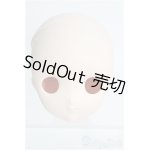 画像: DD/DD専用オプションヘッド(DDH-22) I-25-02-02-1055-YB-ZI