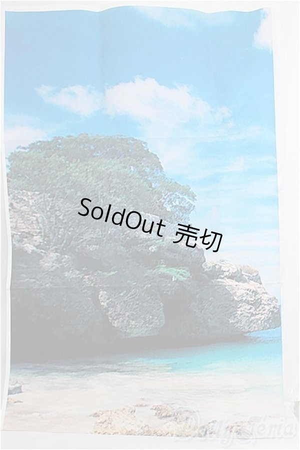 画像1: SD/背景布 I-25-02-16-2129-YB-ZI (1)