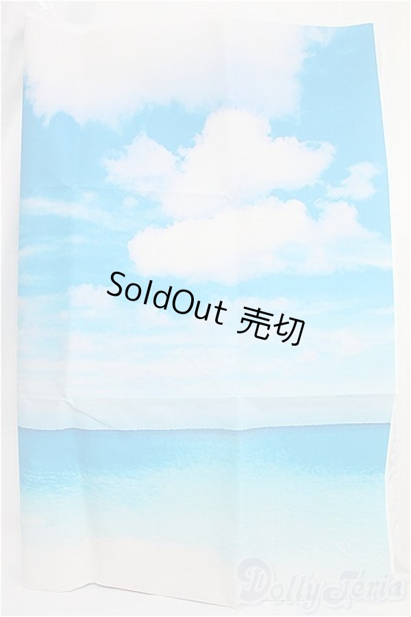 画像2: SD/背景布 I-25-02-16-2129-YB-ZI (2)