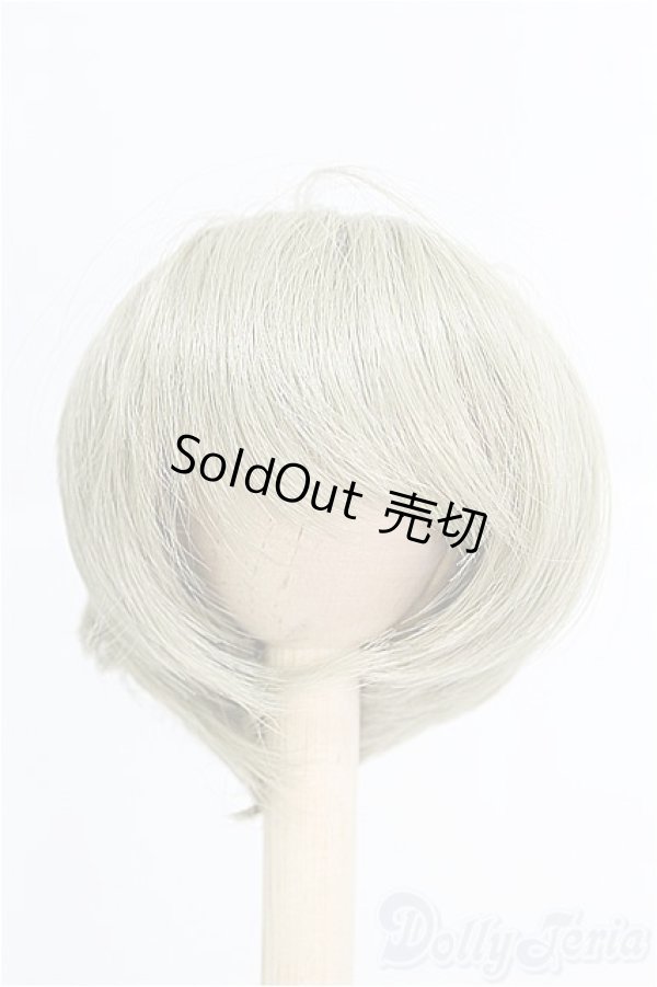 画像1: 8-9inch/ウィッグ I-25-03-02-2023-TO-ZI (1)