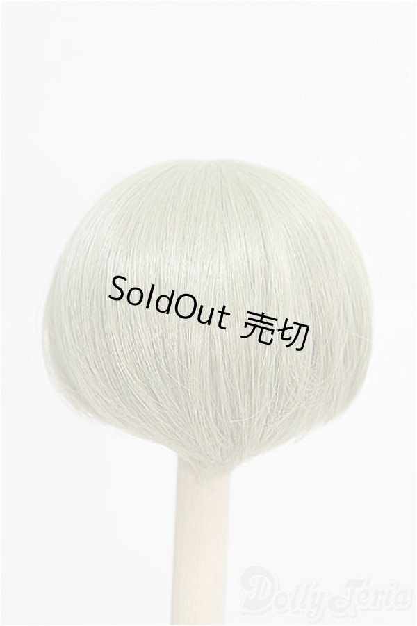 画像2: 8-9inch/ウィッグ I-25-03-02-2023-TO-ZI (2)