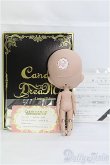 画像4: CandyDreamDOLL/CHOCO YUN:GIRL I-25-03-16-1017-YB-ZI (4)