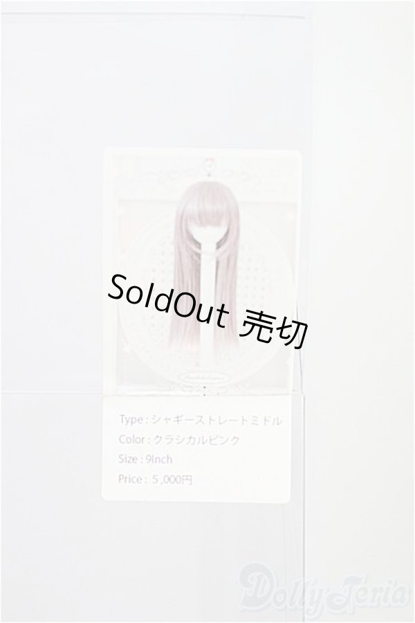 画像4: 9inch/ウィッグ/インチ　BJD　MJD　ドール用 I-26-01-18-305-TO-ZI (4)