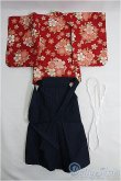 画像2: SDM＆MSD/OF:衣装セット I-25-03-16-3057-TO-ZI (2)