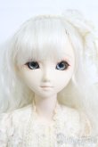 画像1: PARABOX/PB-4001ヘッド+オビツ40女の子ボディ I-25-04-20-1033-TO-ZI (1)