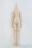 画像2: MDD/ベースボディIII/BJD　球体関節人形 I-25-07-06-1051-TO-ZI (2)