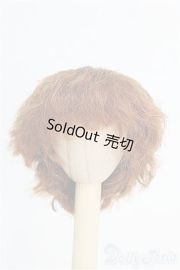 画像1: 7-8inch/ウィッグ I-25-03-02-2014-TO-ZI (1)