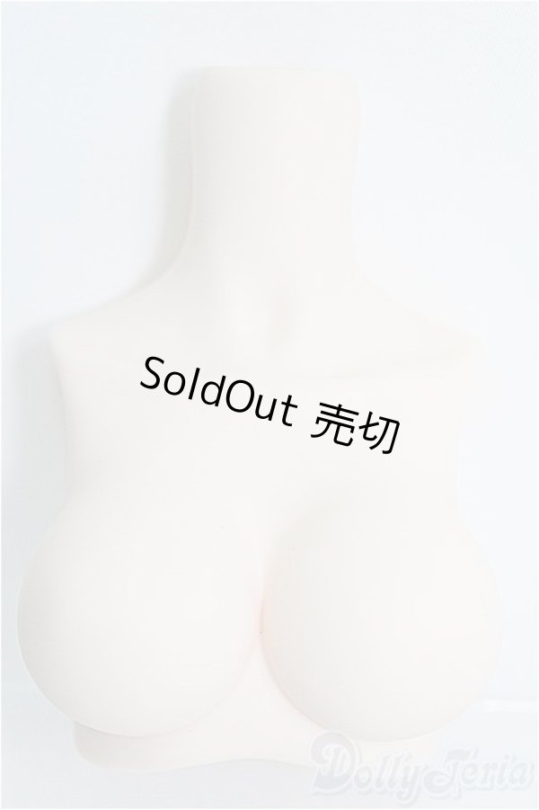 画像1: MDD/上半身パーツ I-25-03-02-1052-TO-ZI (1)