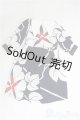 画像: SDM＆MSD/OF:ワンピース I-25-04-13-3051-TO-ZI