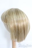 画像2: 9inch/ウィッグ I-25-04-20-3027-TO-ZI (2)