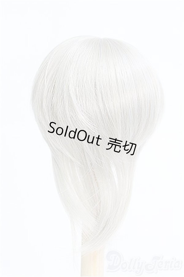 画像2: 7-8inch/ウィッグ I-25-04-13-3020-TO-ZI (2)