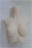 画像1: DD/DD3用上半身パーツ(DD3-B-01-SW) I-25-03-16-1039-YB-ZI (1)