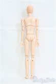 画像5: オビツ27/男性ボディ+PB-2704ヘッド I-25-03-30-1025-TO-ZI (5)
