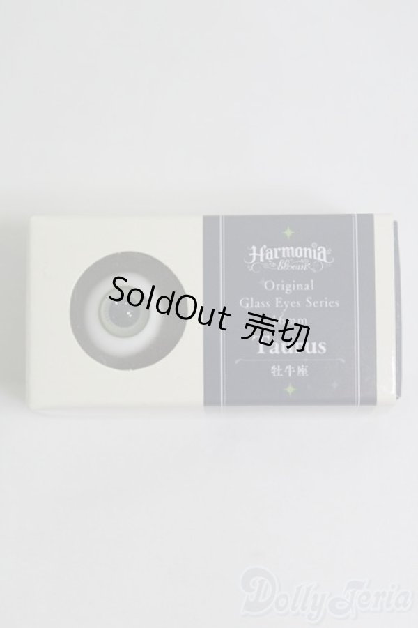 画像3: Harmonia Bloom/オリジナルグラスアイシリーズ 16mm I-25-05-25-3012-TO-ZI (3)