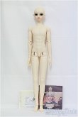画像4: RING DOLL/Crystal-styleB I-25-03-23-1015-TO-ZI (4)