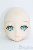画像1: DD/DDH-09ヘッド　※ I-25-03-30-1035-TO-ZI (1)