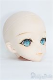 画像2: DD/DDH-09ヘッド　※ I-25-03-30-1035-TO-ZI (2)