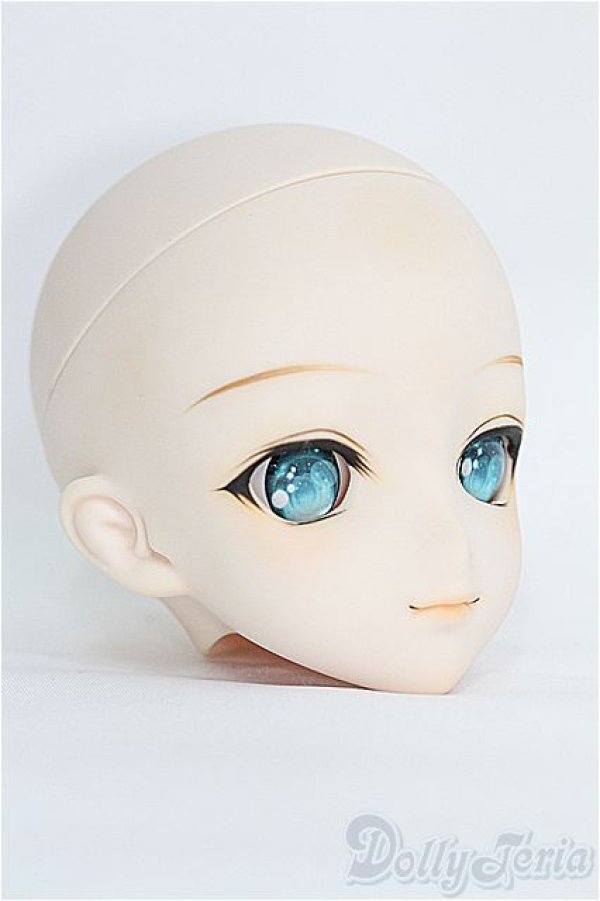 画像2: DD/DDH-09ヘッド　※ I-25-03-30-1035-TO-ZI (2)