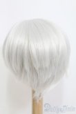 画像3: 8-9inch/ウィッグ I-25-05-18-2028-TO-ZI (3)