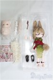 画像2: INEBIBLE DOLL I-25-03-30-1021-TO-ZI (2)