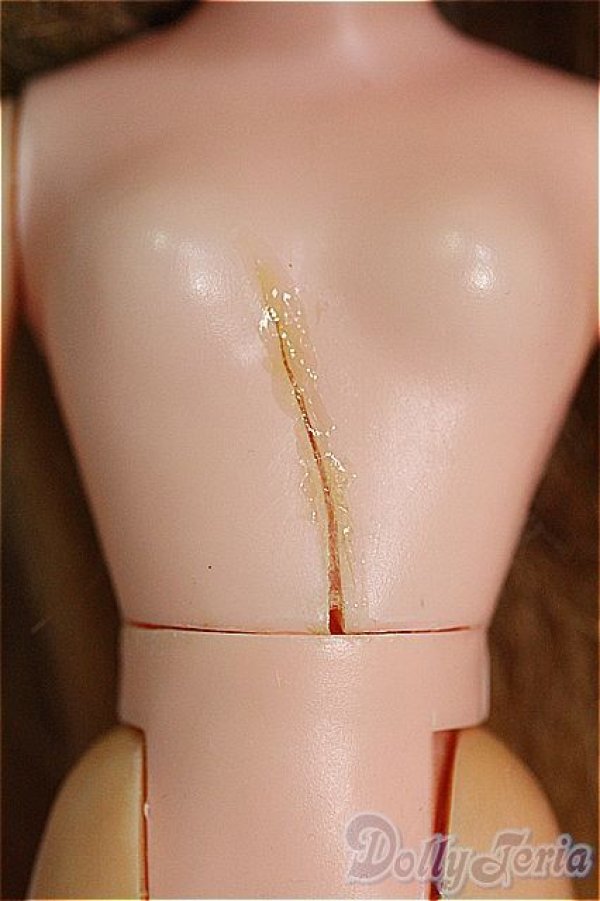 画像6: ネオブライス/ケナー製ヴィンテージブライス I-25-03-30-1022-TO-ZI (6)