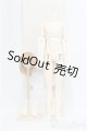 画像: SDGrB [13 Revival]ボディセット I-25-03-30-1004-YB-ZI