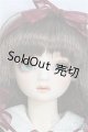 画像: SD/アダプションモデル:ニコ I-25-03-30-1002-YB-ZI