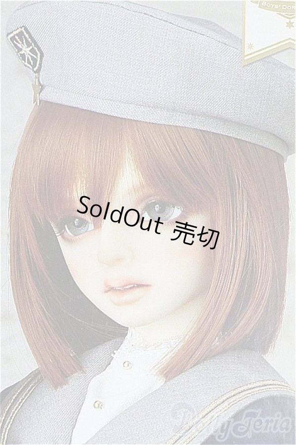 画像1: SDB/ミシェル 星間学寮Ver. ドルパ47 I-26-02-22-299-YB-ZI (1)