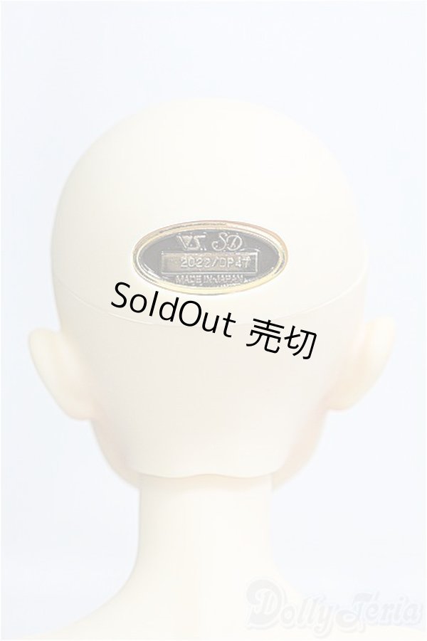 画像5: SDB/ミシェル 星間学寮Ver. ドルパ47 I-26-02-22-299-YB-ZI (5)