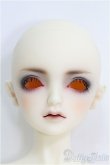 画像2: SDB/Le petit Frere (つきみ様ダークメイク済)ル プティ フレール 生まれ出るチルチルの弟 I-25-03-30-1001-YB-ZI (2)