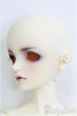 画像4: SDB/Le petit Frere (つきみ様ダークメイク済)ル プティ フレール 生まれ出るチルチルの弟 I-25-03-30-1001-YB-ZI (4)