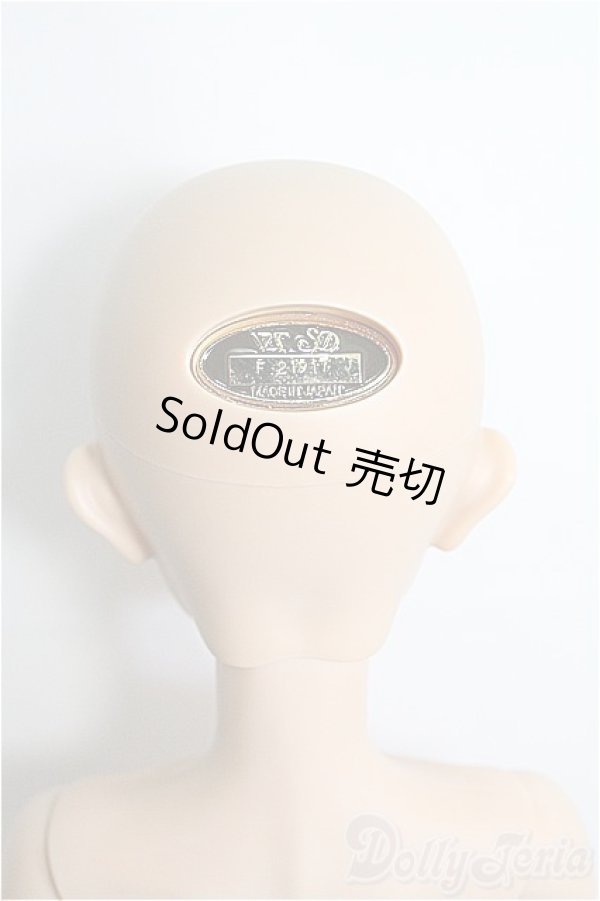 画像4: SDB/フルチョイス:F-105 I-25-04-06-1002-YB-ZI (4)