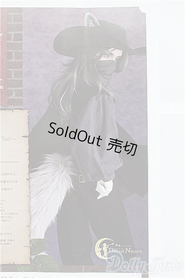 画像1: SD17男の子/OF Ludo〜the Grey Tail〜灰白狼のルド I-25-03-30-1068-TO-ZI (1)