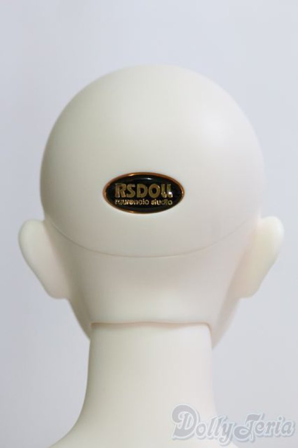 画像4: DOLK/「ノワールドール」イヴ キャストドール/BJD　球体関節人形 I-25-07-06-1001-TO-ZI (4)