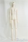 画像6: RS DOLL/New Evan ArcanaCaster ver. Limited I-25-04-06-1005-TO-ZI (6)