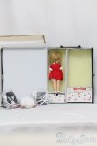 画像3: Penny Brite/The Wonderful World of Penny Brite Giftset ペニー ブライト ギフトセット復刻版 着替用ドレスセットx3付 I-25-05-04-1021-YB-ZI (3)