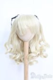 画像1: 9-10inch/ウィッグ I-25-05-18-2021-TO-ZI (1)
