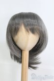 画像1: 9-10inch/ウィッグ I-25-04-27-3026-TO-ZI (1)