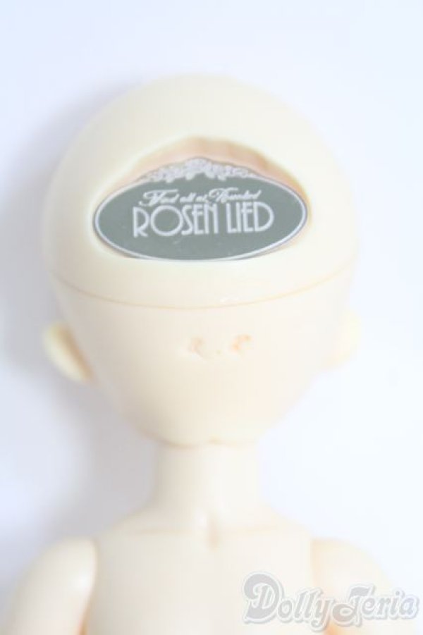 画像4: ROSEN LIED/Monday's Child BASIC MELON I-25-04-20-1005-YB-ZI (4)
