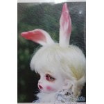 画像: Tokissi/follow the white rabbit (Basic ver.)ホワイト ラビット I-25-04-20-1008-YB-ZI