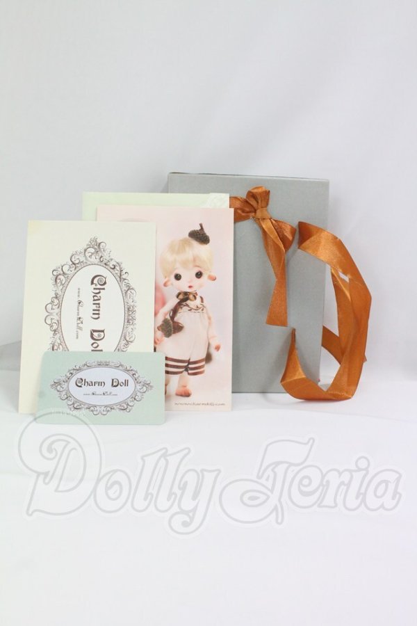 画像9: Charm Doll/Pine Cone Momo フルセット I-26-08-27-400-YB-ZI (9)